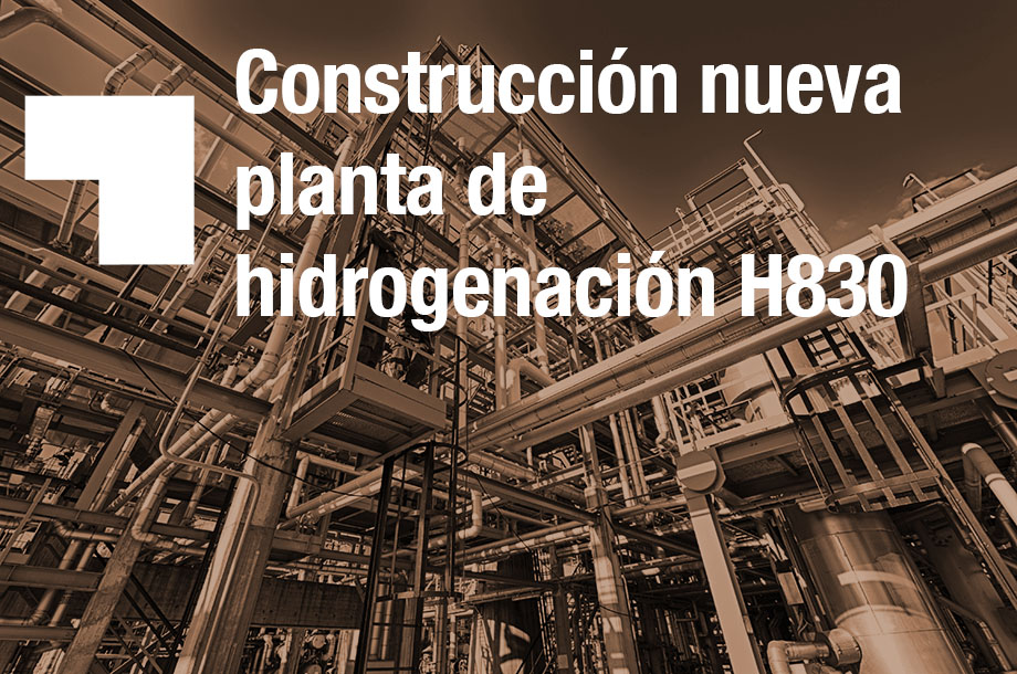 Arcadio Gregori Proyecto Industrial. Construcción Planta de Hidrogenación H830